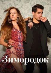 Зимородок 3 сезон турецкий сериал 1-101 серия на русском языке смотреть онлайн все серии